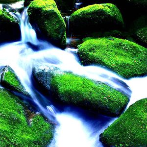 欧美日激情日逼片
