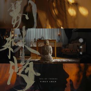 欧美日激情日逼片
